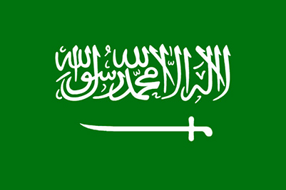 zoom LOGO DRAPEAU ARABIE SAOUDITE (1)